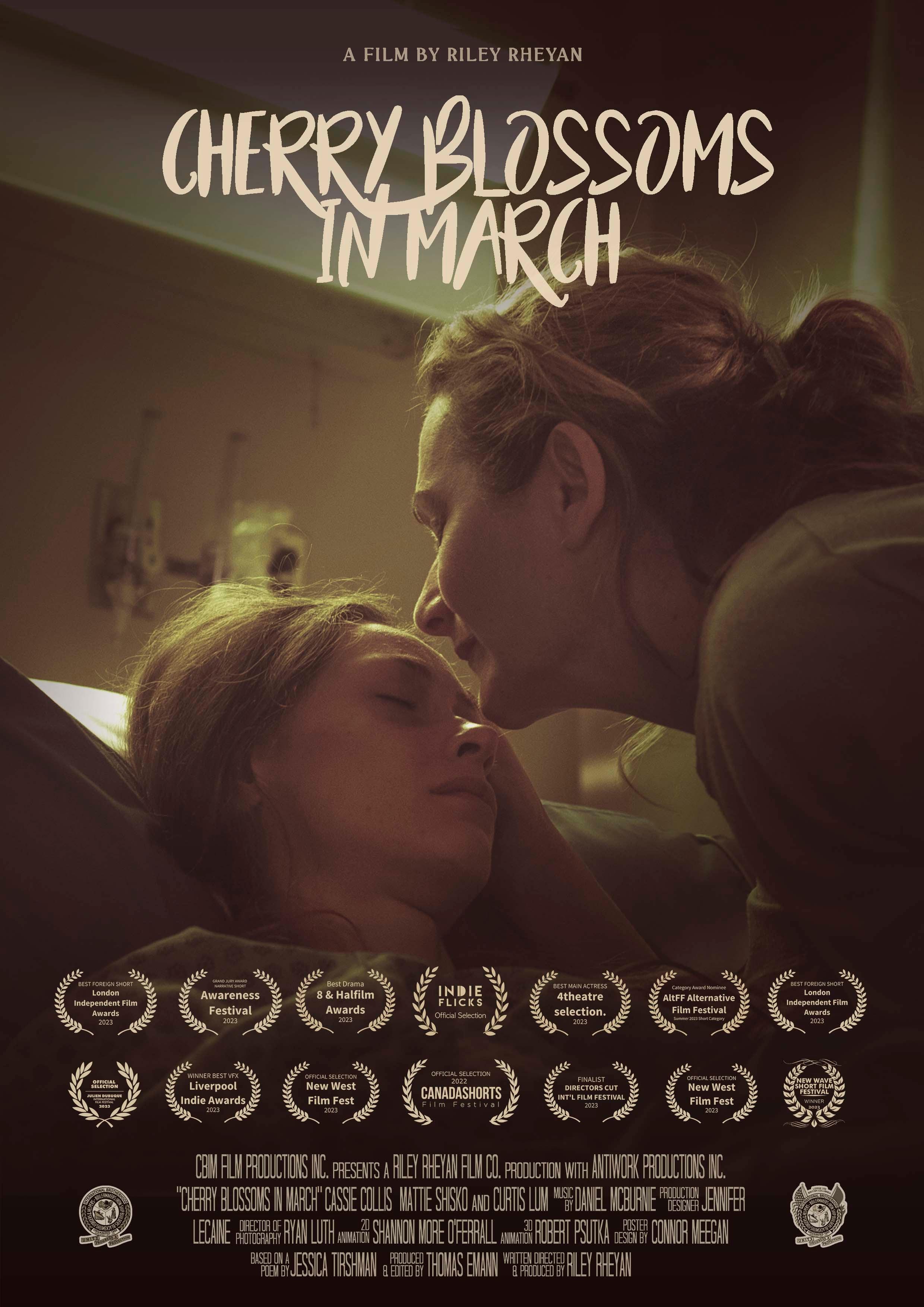 Cherry Blossoms in March